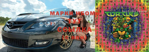 шишки Баксан