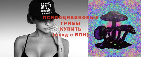 шишки Баксан