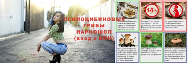 шишки Баксан