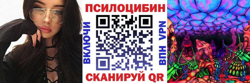Галлюциногенные грибы GOLDEN TEACHER Купить где Белый