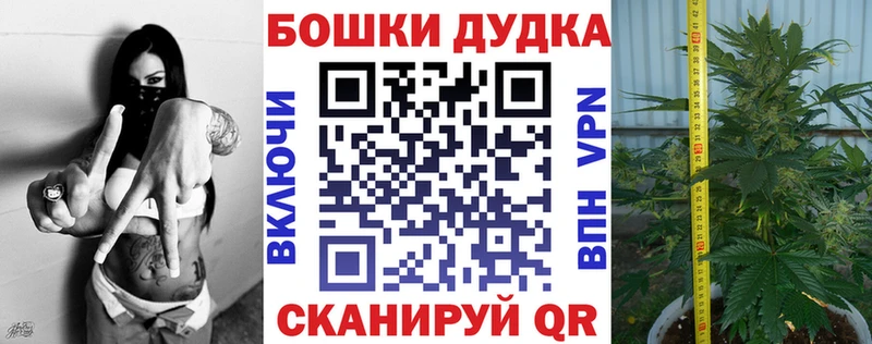 Купить где  Белый  Каннабис ГИДРОПОН 